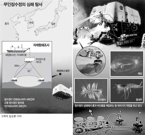 클릭하면 큰 이미지를 볼 수 있습니다.