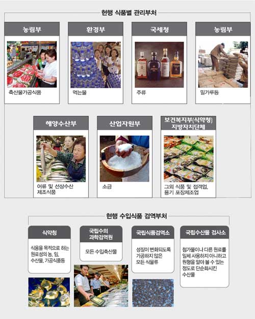 클릭하면 큰 이미지를 볼 수 있습니다.