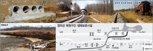 클릭하면 큰 이미지를 볼 수 있습니다.