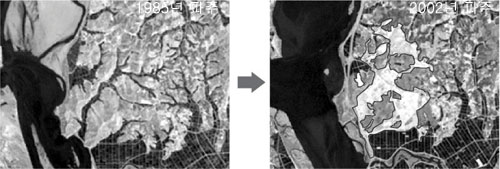 클릭하면 큰 이미지를 볼 수 있습니다.