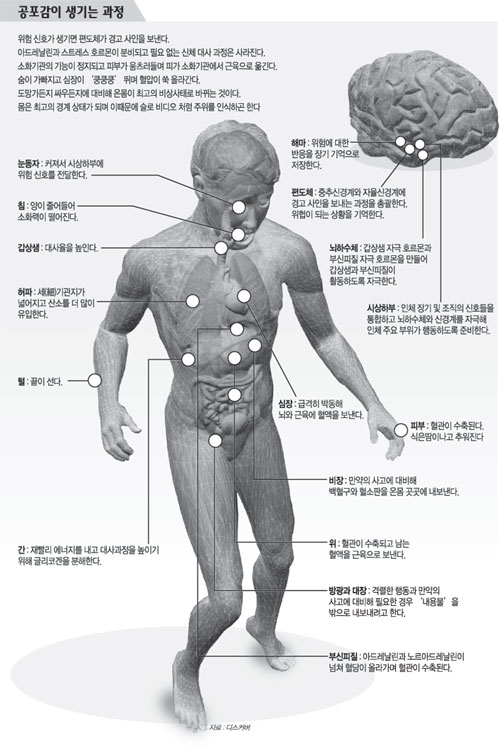 클릭하면 큰 이미지를 볼 수 있습니다.