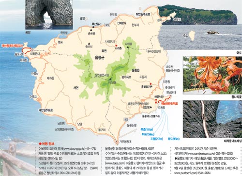 클릭하면 큰 이미지를 볼 수 있습니다.