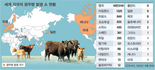 클릭하면 큰 이미지를 볼 수 있습니다.