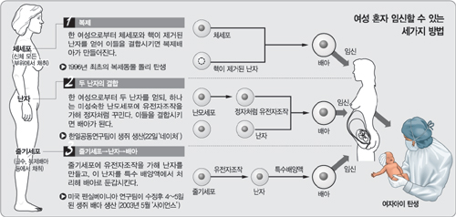 클릭하면 큰 이미지를 볼 수 있습니다.