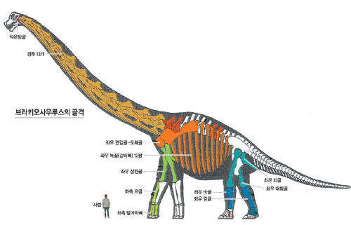 클릭하면 큰 이미지를 볼 수 있습니다.