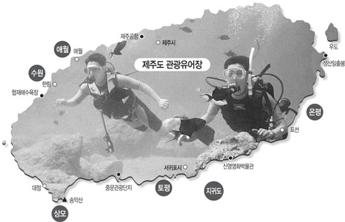 클릭하면 큰 이미지를 볼 수 있습니다.