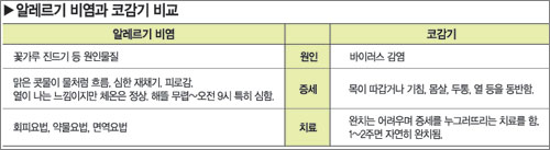 클릭하면 큰 이미지를 볼 수 있습니다.