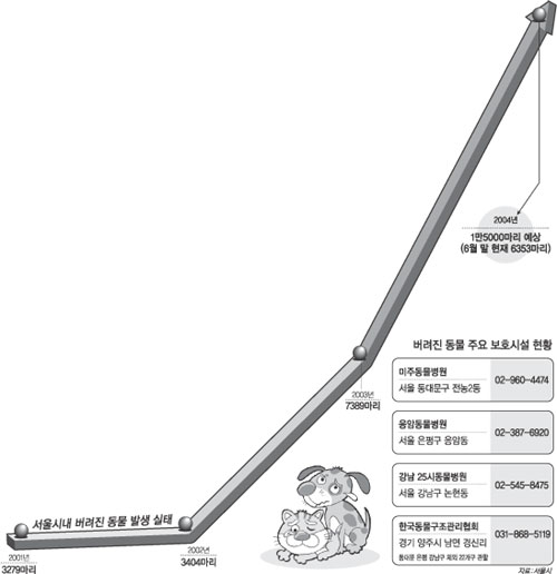 클릭하면 큰 이미지를 볼 수 있습니다.