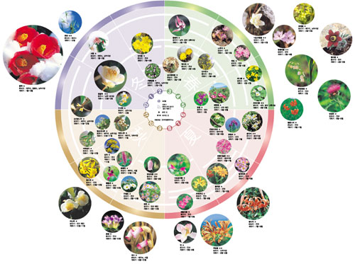 클릭하면 큰 이미지를 볼 수 있습니다.