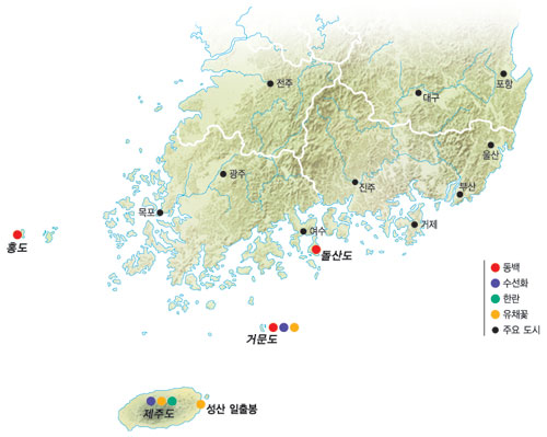 클릭하면 큰 이미지를 볼 수 있습니다.