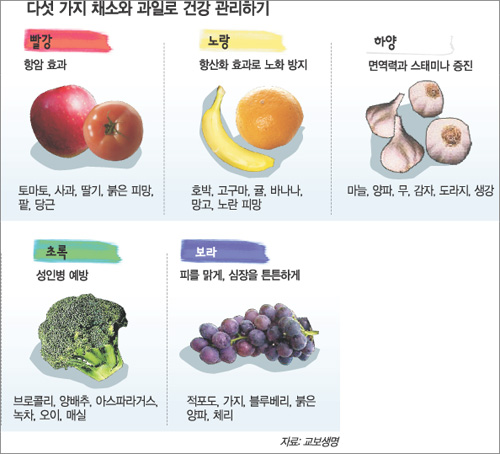 클릭하면 큰 이미지를 볼 수 있습니다.