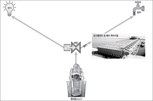 클릭하면 큰 이미지를 볼 수 있습니다.