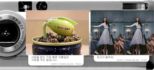 클릭하면 큰 이미지를 볼 수 있습니다.