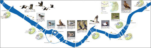 클릭하면 큰 이미지를 볼 수 있습니다.