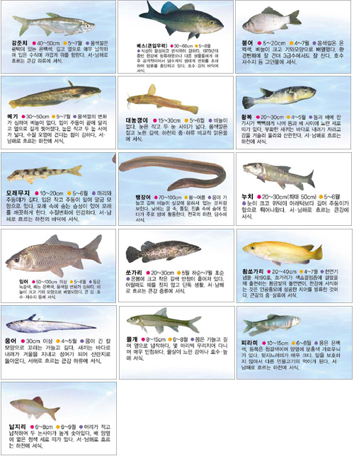 클릭하면 큰 이미지를 볼 수 있습니다.