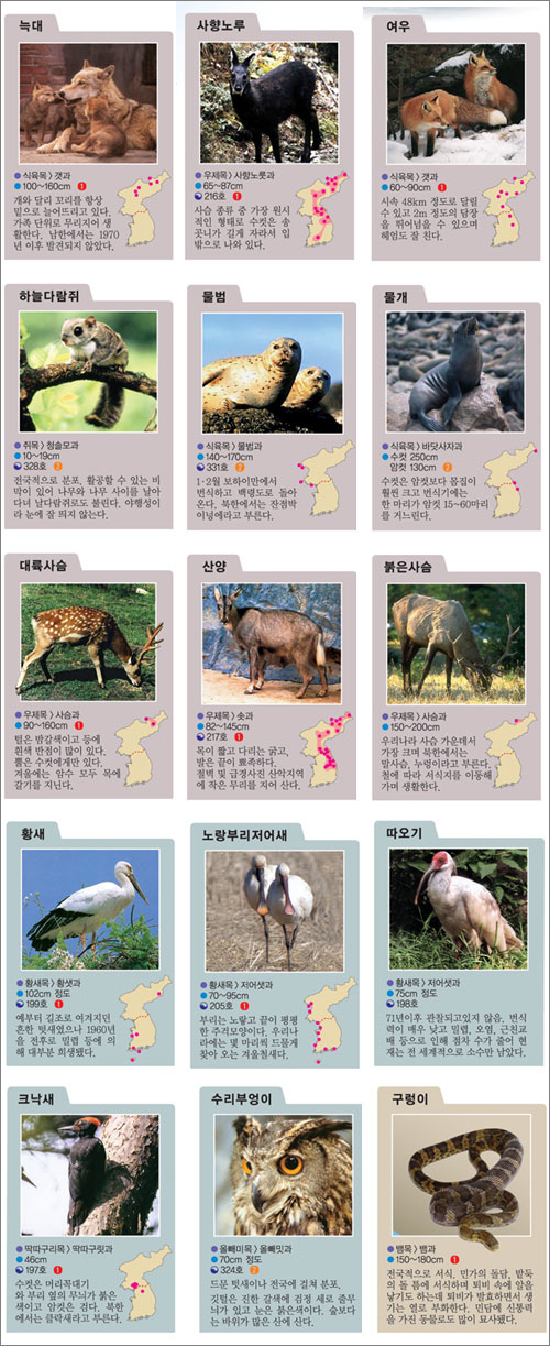 클릭하면 큰 이미지를 볼 수 있습니다.