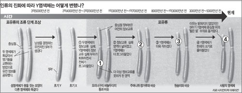 클릭하면 큰 이미지를 볼 수 있습니다.