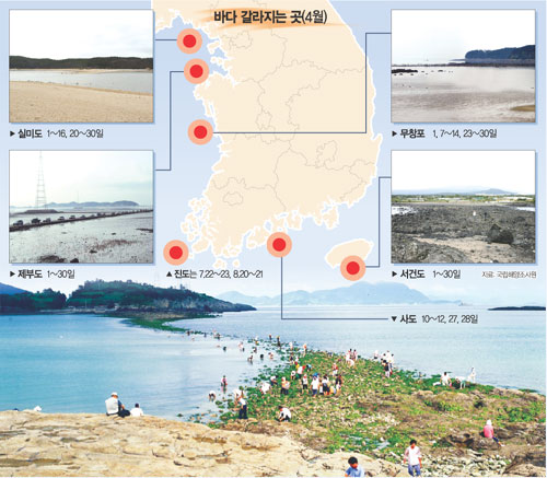 클릭하면 큰 이미지를 볼 수 있습니다.