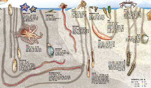 클릭하면 큰 이미지를 볼 수 있습니다.