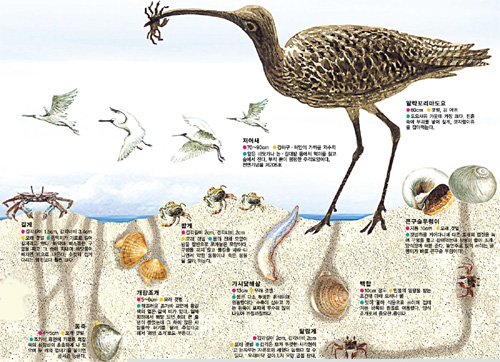 클릭하면 큰 이미지를 볼 수 있습니다.