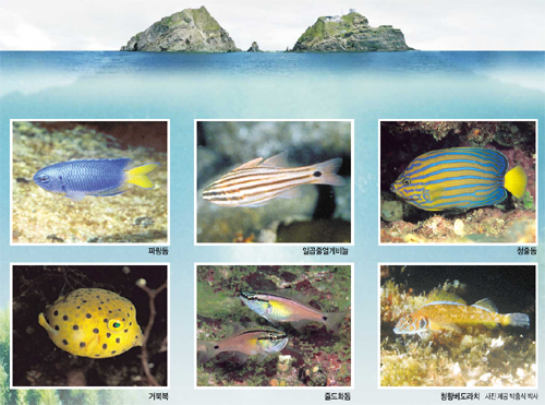 클릭하면 큰 이미지를 볼 수 있습니다.