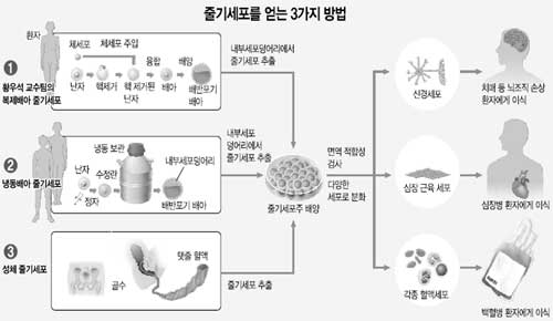 클릭하면 큰 이미지를 볼 수 있습니다.