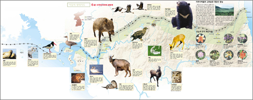 클릭하면 큰 이미지를 볼 수 있습니다.