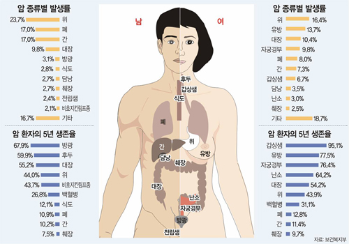 클릭하면 큰 이미지를 볼 수 있습니다.