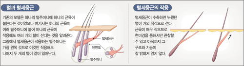 클릭하면 큰 이미지를 볼 수 있습니다.