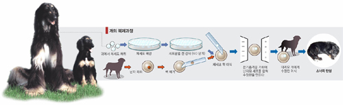 클릭하면 큰 이미지를 볼 수 있습니다.