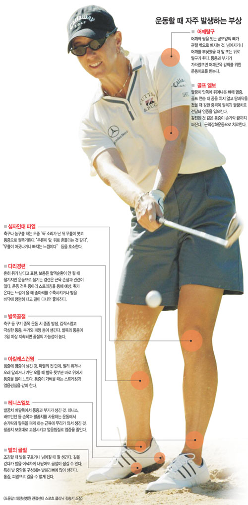 클릭하면 큰 이미지를 볼 수 있습니다.