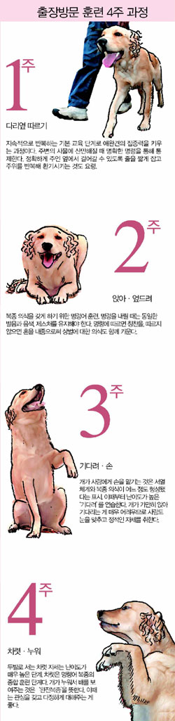 클릭하면 큰 이미지를 볼 수 있습니다.