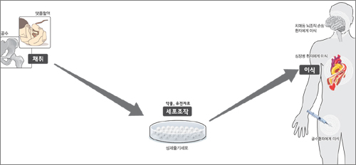 클릭하면 큰 이미지를 볼 수 있습니다.