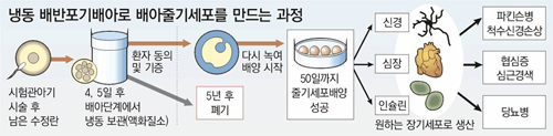 클릭하면 큰 이미지를 볼 수 있습니다.