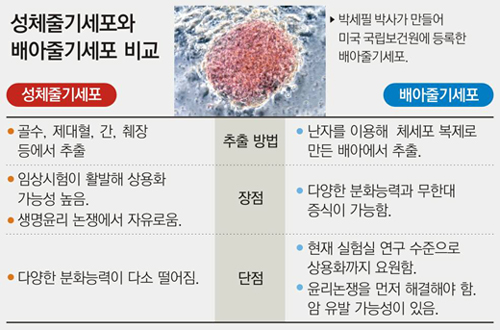 클릭하면 큰 이미지를 볼 수 있습니다.