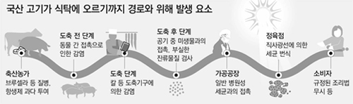 클릭하면 큰 이미지를 볼 수 있습니다.