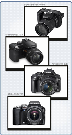 클릭하면 큰 이미지를 볼 수 있습니다.