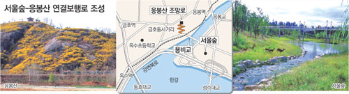 클릭하면 큰 이미지를 볼 수 있습니다.