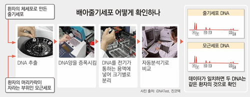 클릭하면 큰 이미지를 볼 수 있습니다.