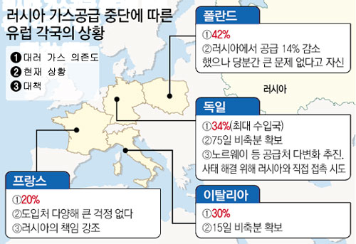 클릭하면 큰 이미지를 볼 수 있습니다.