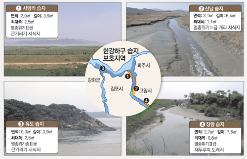 클릭하면 큰 이미지를 볼 수 있습니다.