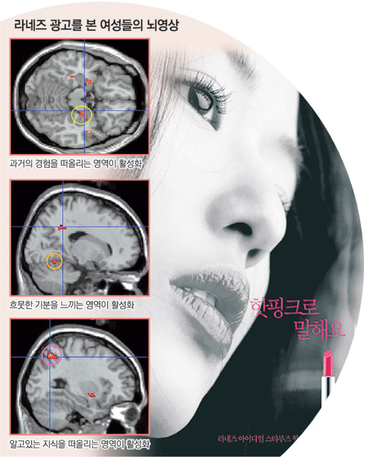 클릭하면 큰 이미지를 볼 수 있습니다.