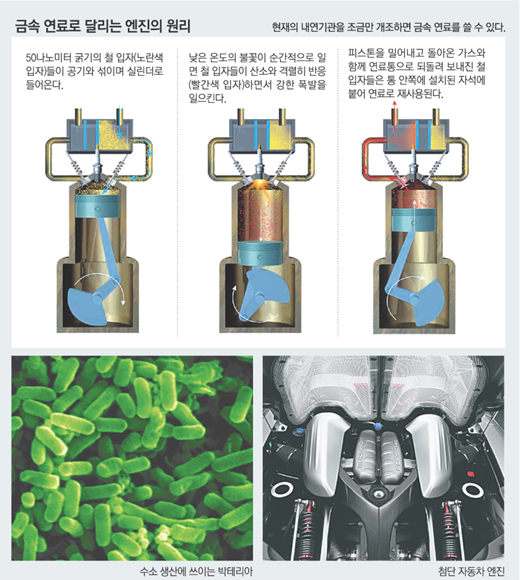 클릭하면 큰 이미지를 볼 수 있습니다.