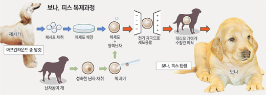 클릭하면 큰 이미지를 볼 수 있습니다.