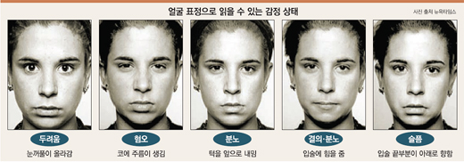 클릭하면 큰 이미지를 볼 수 있습니다.