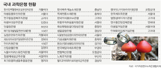 클릭하면 큰 이미지를 볼 수 있습니다.