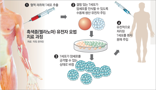 클릭하면 큰 이미지를 볼 수 있습니다.