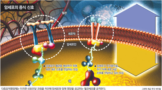클릭하면 큰 이미지를 볼 수 있습니다.