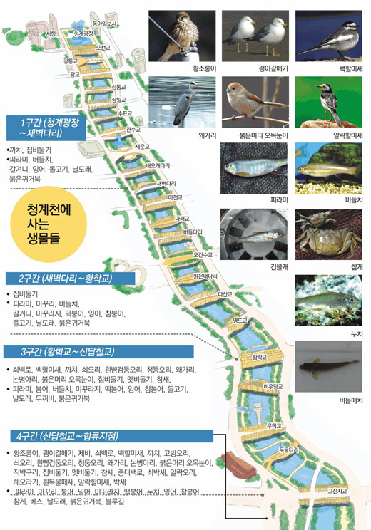 클릭하면 큰 이미지를 볼 수 있습니다.