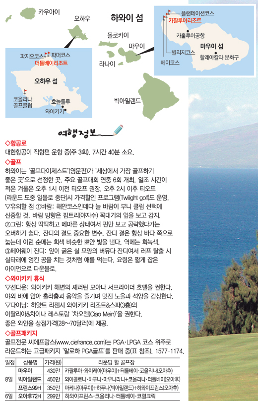 클릭하면 큰 이미지를 볼 수 있습니다.